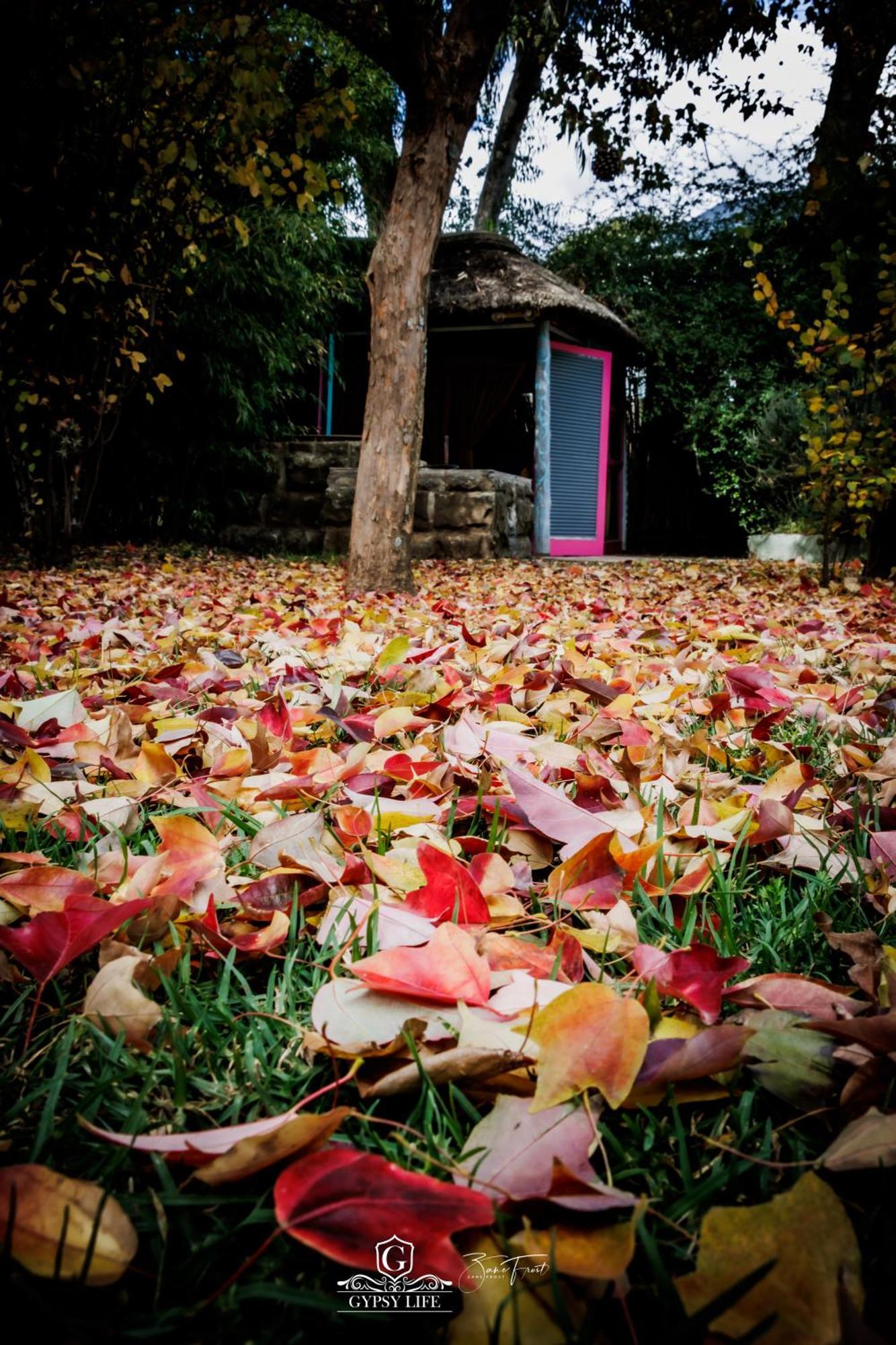 Gypsy Guest House คลาเรนส์ ภายนอก รูปภาพ